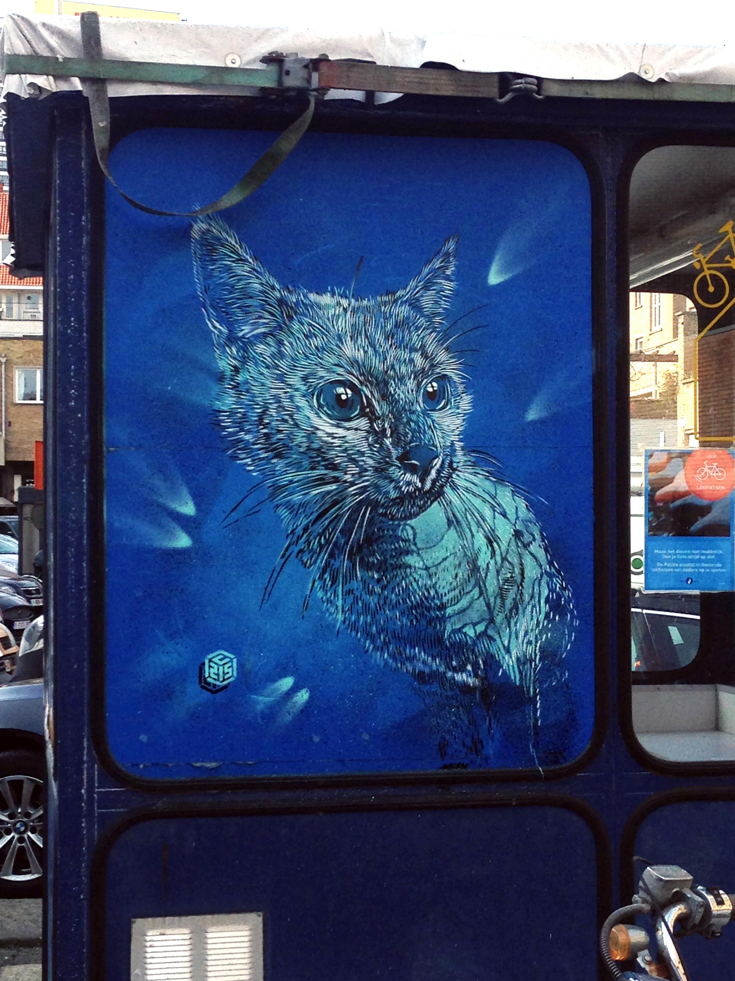 tour du monde des plus belles œuvres street art ville