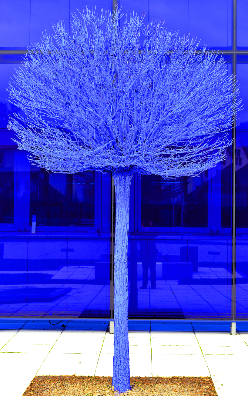 Konstantin Dimopoulos Blue Trees Project Environnement Bleu Arbre Art Brève