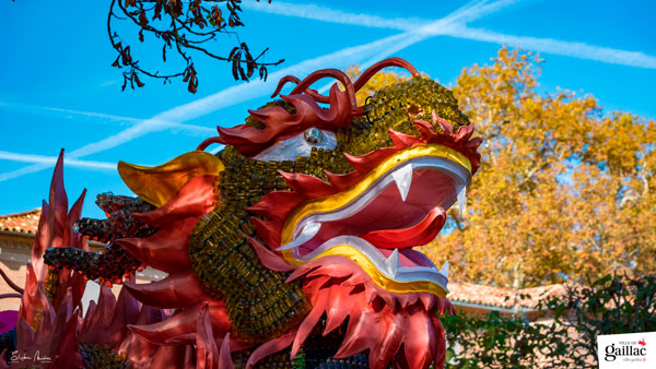 lanternes-chine-gaillac